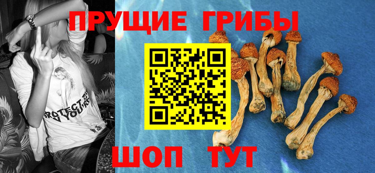 Псилоцибиновые грибы прущие грибы Новомосковск