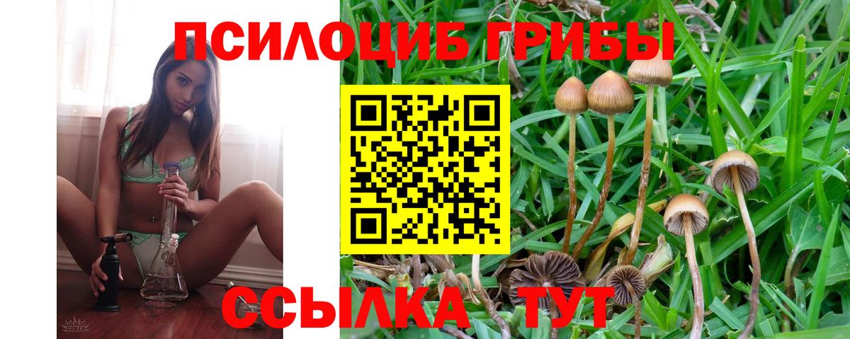Галлюциногенные грибы Magic Shrooms  цена наркотик  Новомосковск  Вход с VPN  Псилоцибиновые грибы Psilocybe 